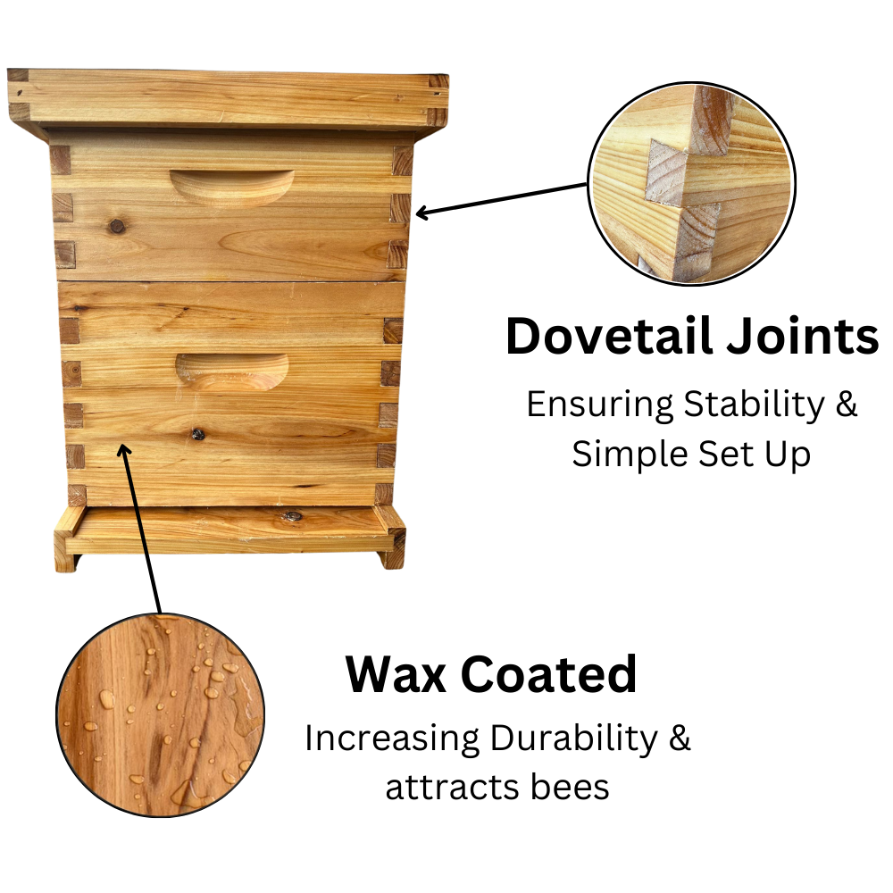 Bee Hive Starter Kit