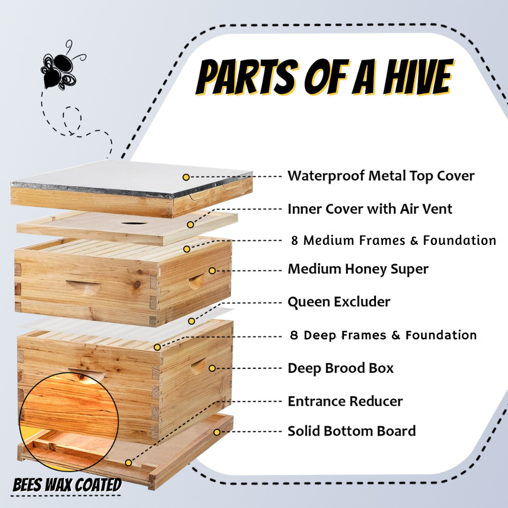 Bee Hive Starter Kit